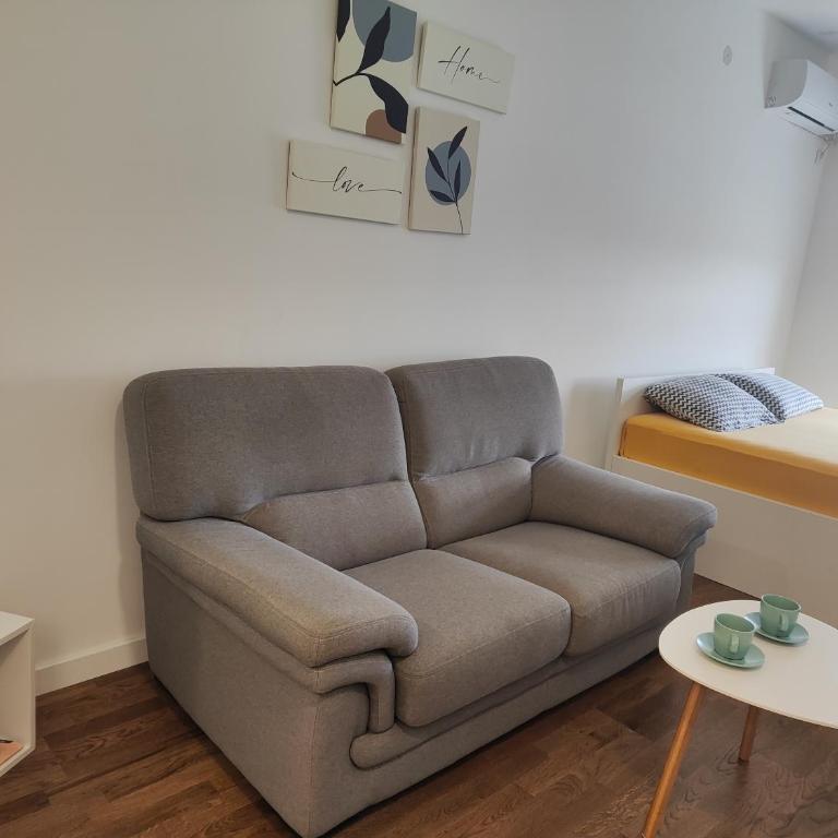 Djokic studio Novi Bubanj - Apartman sa 1 Spavaćom Sobom - 13