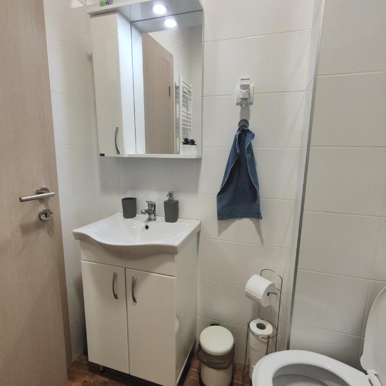 Djokic studio Novi Bubanj - Apartman sa 1 Spavaćom Sobom - 14