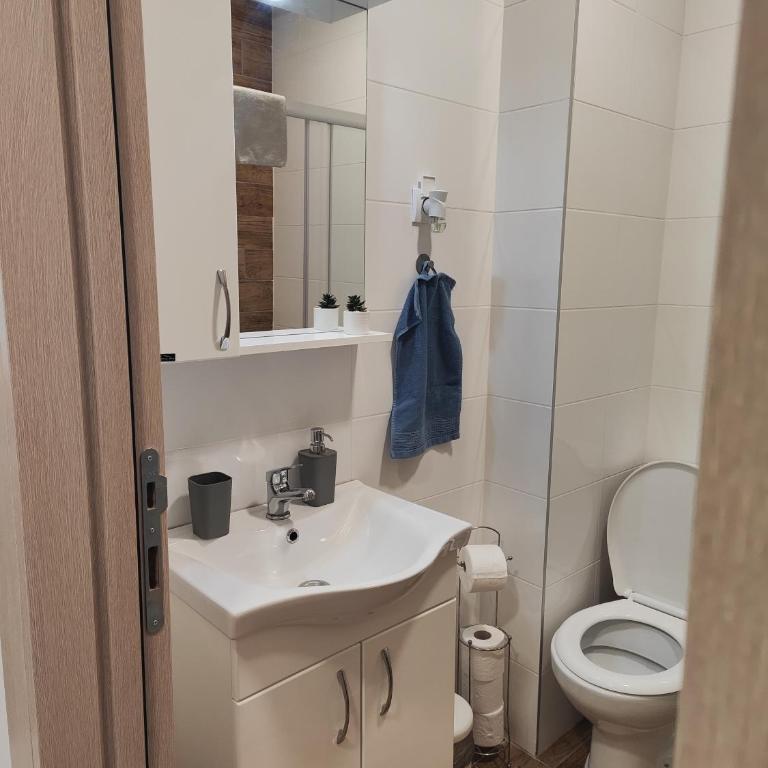 Djokic studio Novi Bubanj - Apartman sa 1 Spavaćom Sobom - 19