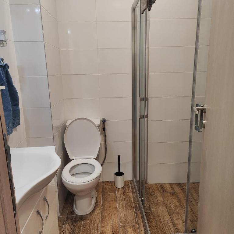 Djokic studio Novi Bubanj - Apartman sa 1 Spavaćom Sobom - 20