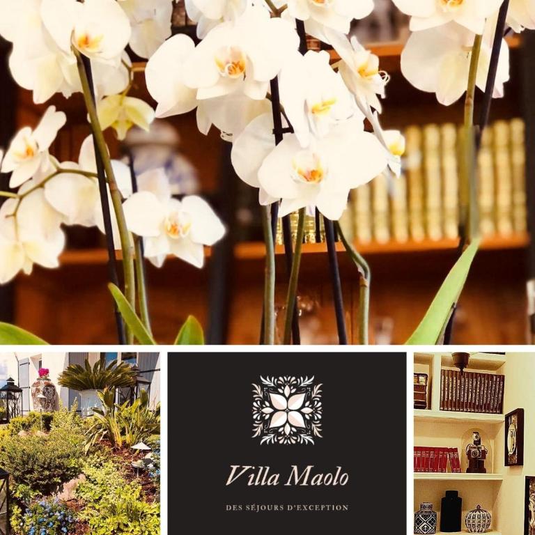 Villa Maolo - Chambre Double avec Salle de Bains Privative - 31