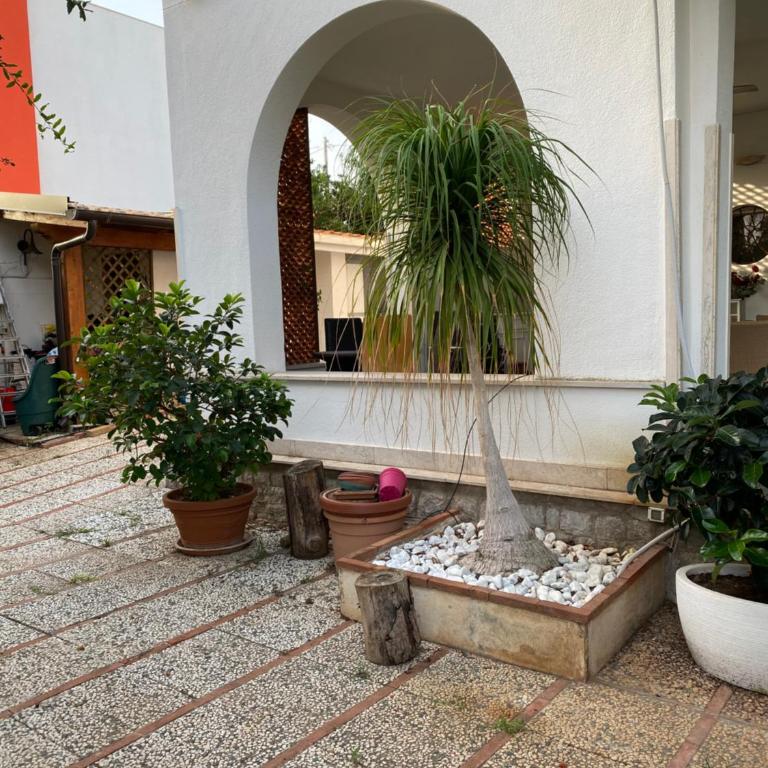 Holiday & House - Imparato Carini Costa Verde - Appartamento con giardino privato - porzione di Villa residenziale a pochi passi dal mare - One-Bedroom Apartment with Garden View - 6