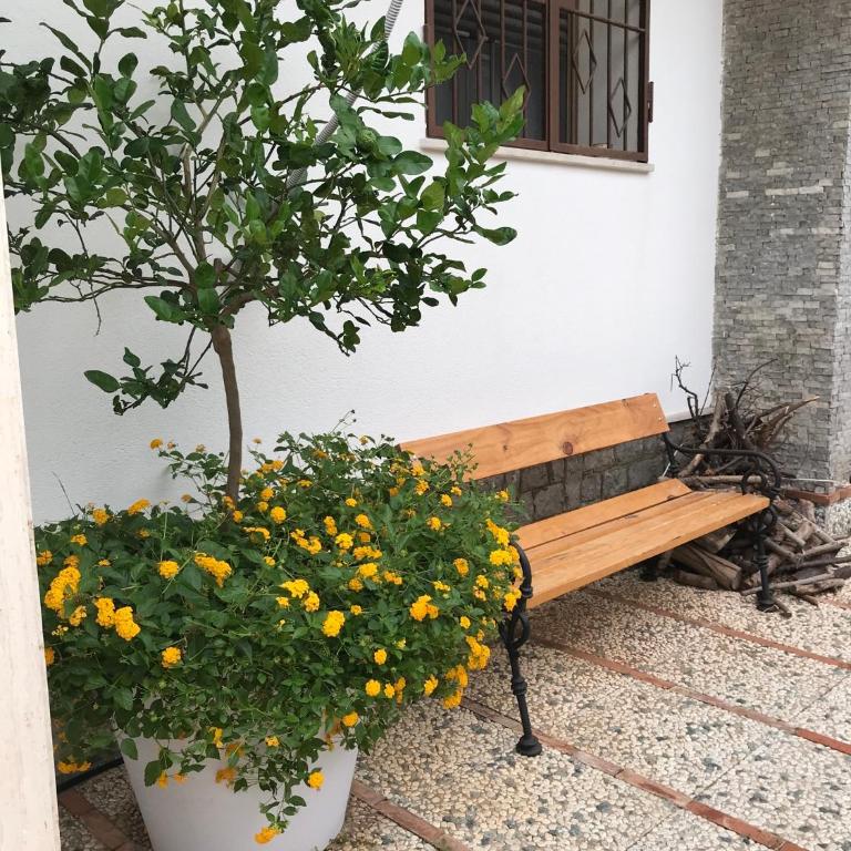 Holiday & House - Imparato Carini Costa Verde - Appartamento con giardino privato - porzione di Villa residenziale a pochi passi dal mare - One-Bedroom Apartment with Garden View - 4