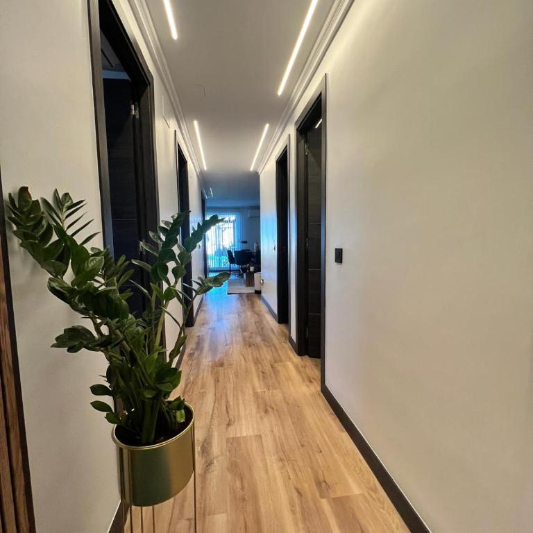 Atico LUXURY Magic World - Apartamento de 3 dormitorios - 12