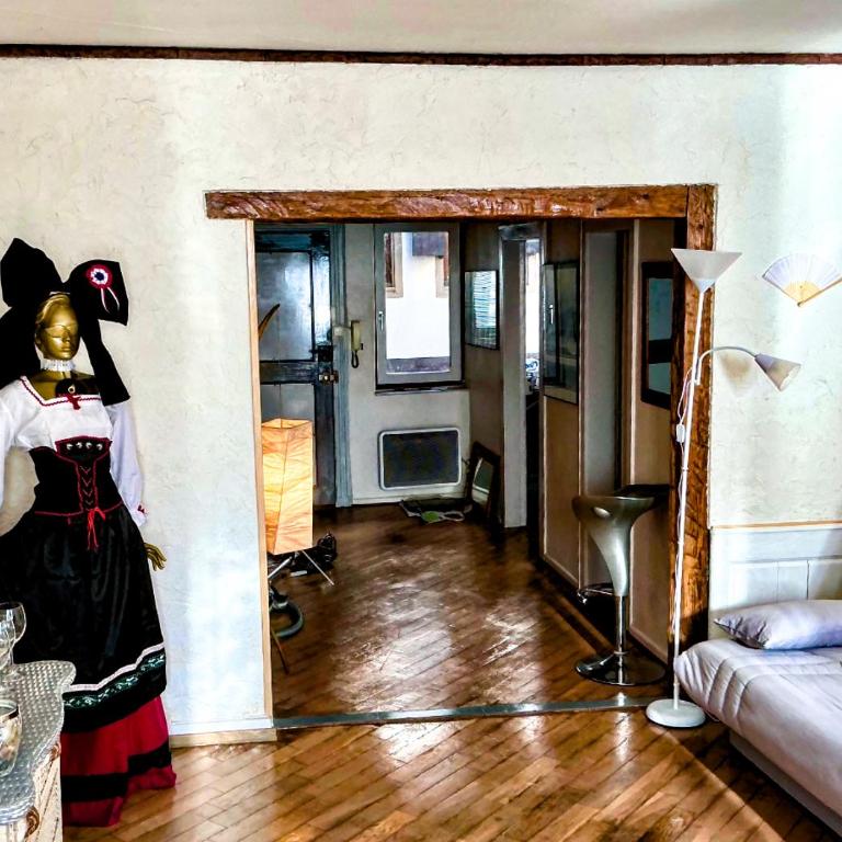 Appartement lumineux Classé au cœur de Strasbourg - One-Bedroom Apartment - 6