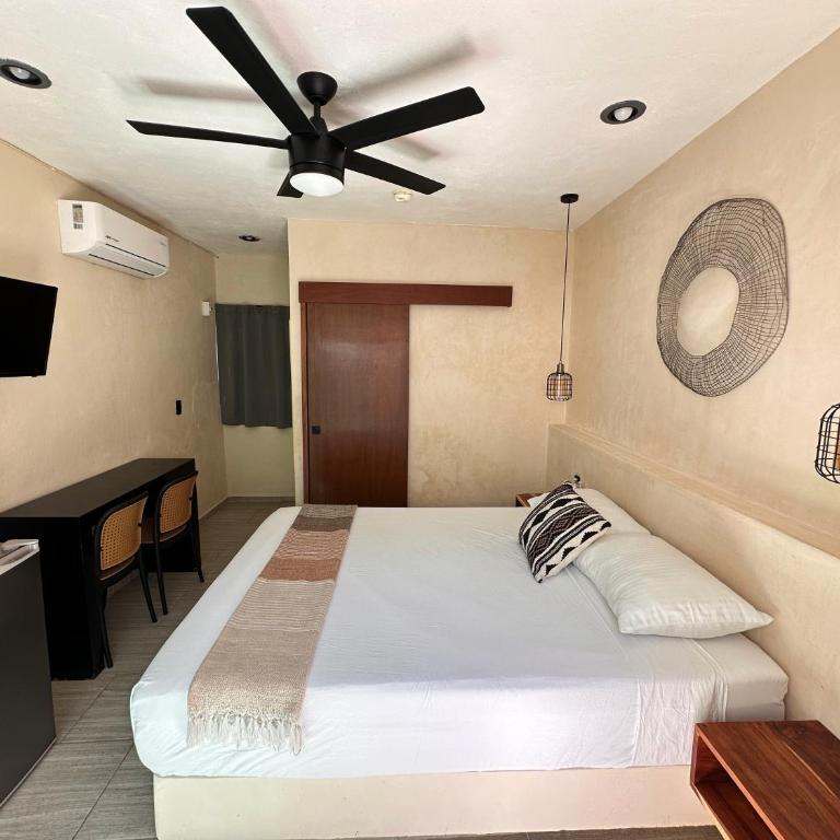 Hotel Caracol Isla Mujeres - Double - 1