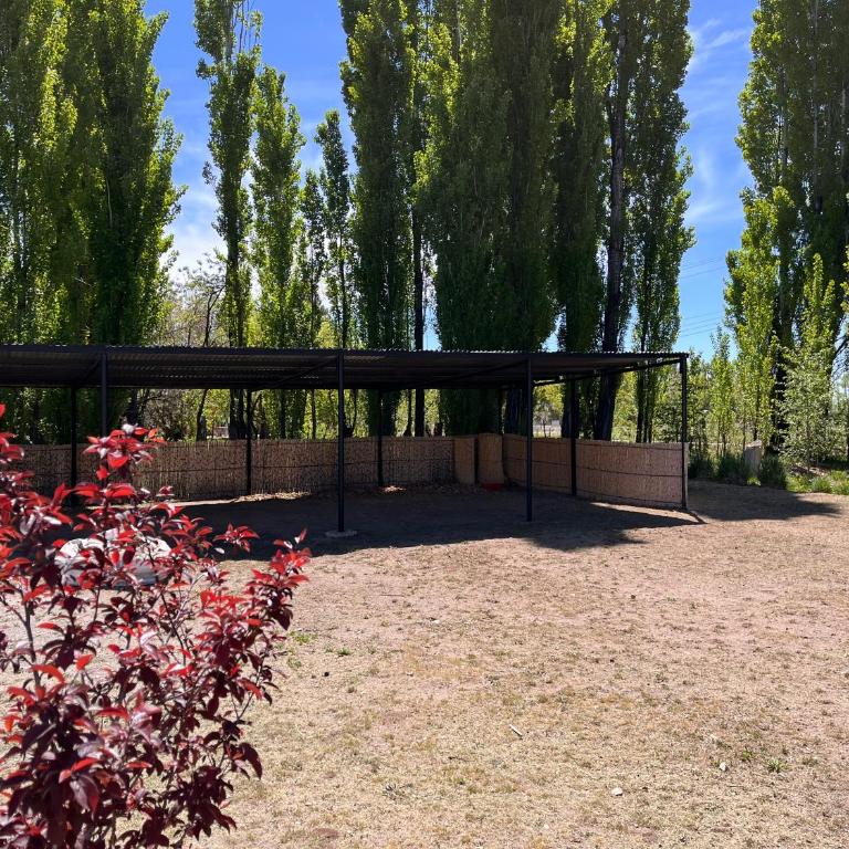 Finca Los Arrieros - Malargüe - Two-Bedroom Apartment with Mountain View - 12