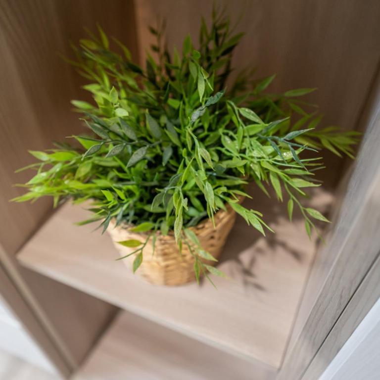 SageRosemary Home - with Garden by Pleiades Home - Appartamento - 45