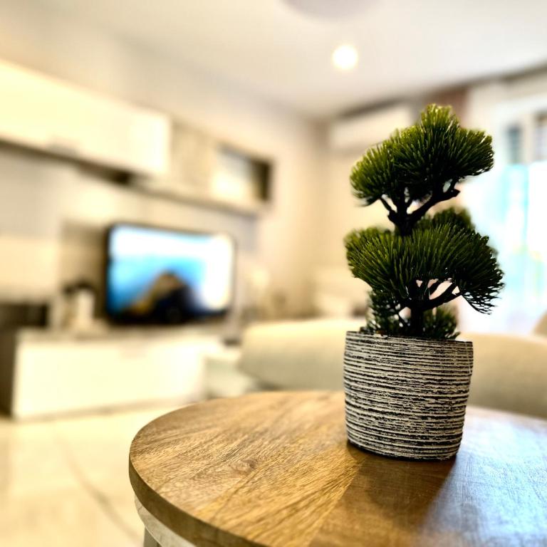 Mirador de Santa Marina con Parking Privado - Apartamento de 3 dormitorios - 8