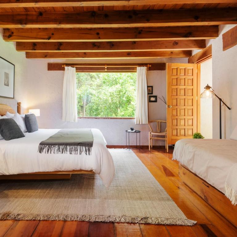 Casas Abi, A Tranquil Retreat Surrounded by nature - Villa con vistas al jardín - 48