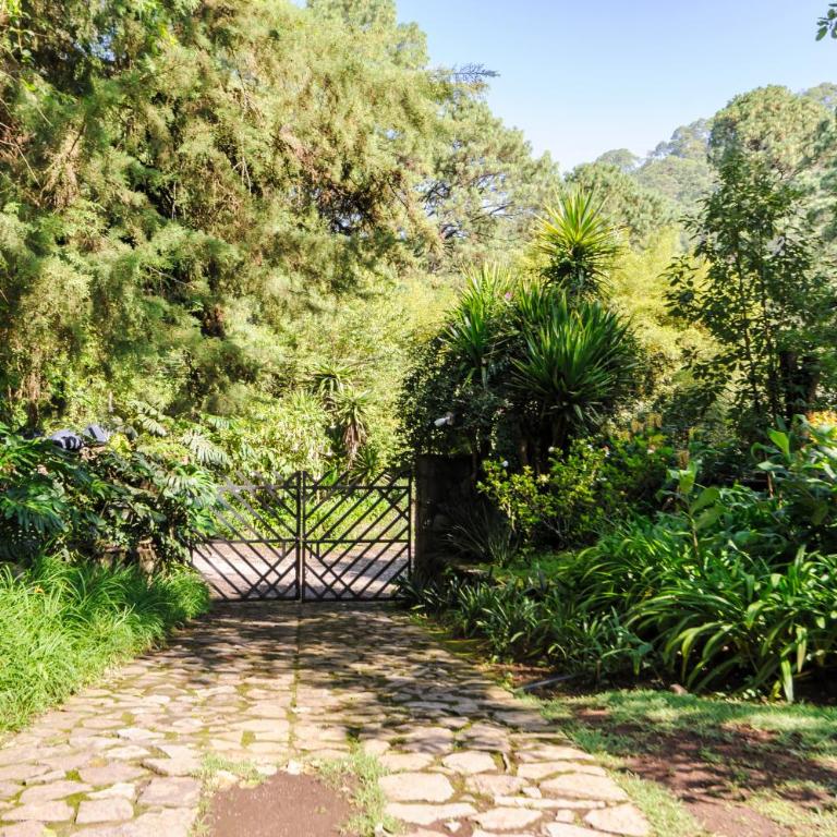 Casas Abi, A Tranquil Retreat Surrounded by nature - Villa con vistas al jardín - 47