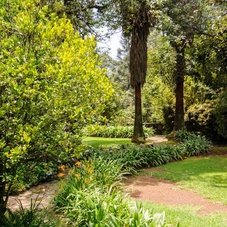 Casas Abi, A Tranquil Retreat Surrounded by nature - Villa con vistas al jardín - 58