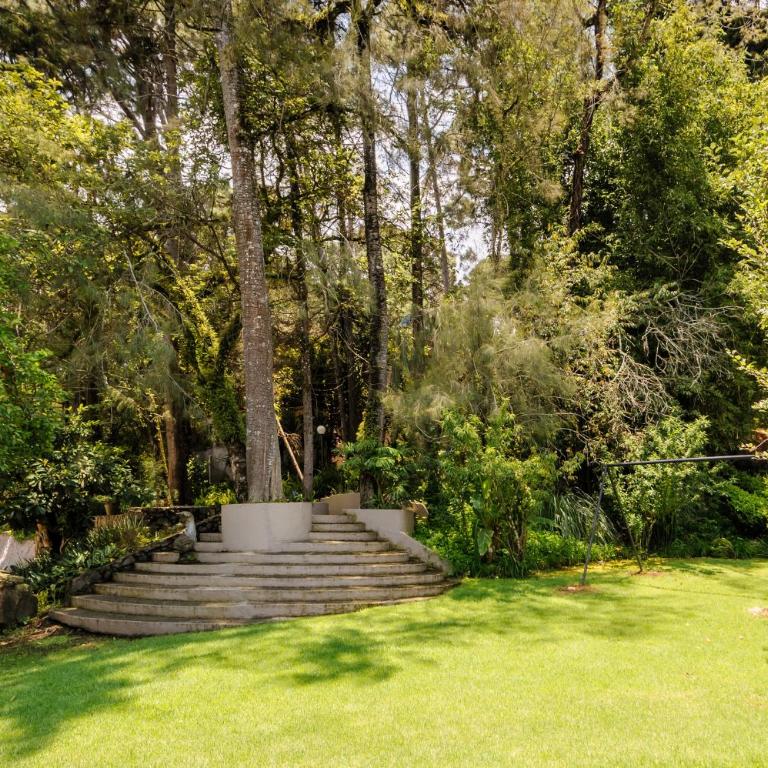 Casas Abi, A Tranquil Retreat Surrounded by nature - Villa con vistas al jardín - 60