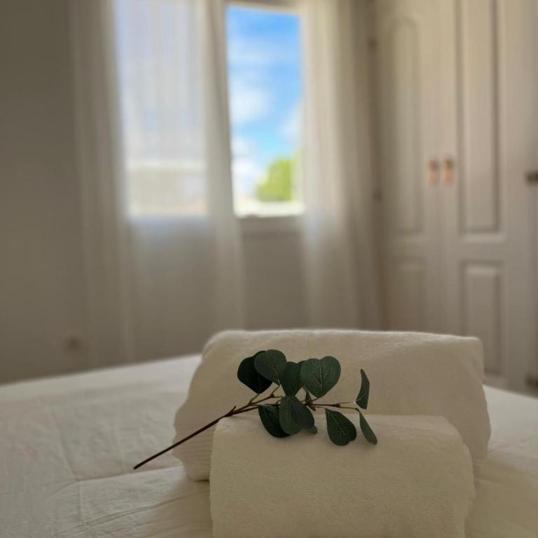 Amplio apartamento en el centro de Málaga con parking privado incluido - Apartamento de 3 dormitorios - 19