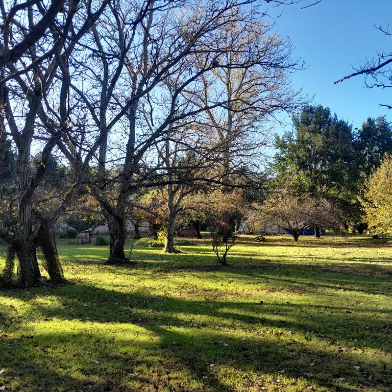 La Casita del Vivero - Two-Bedroom House - 27