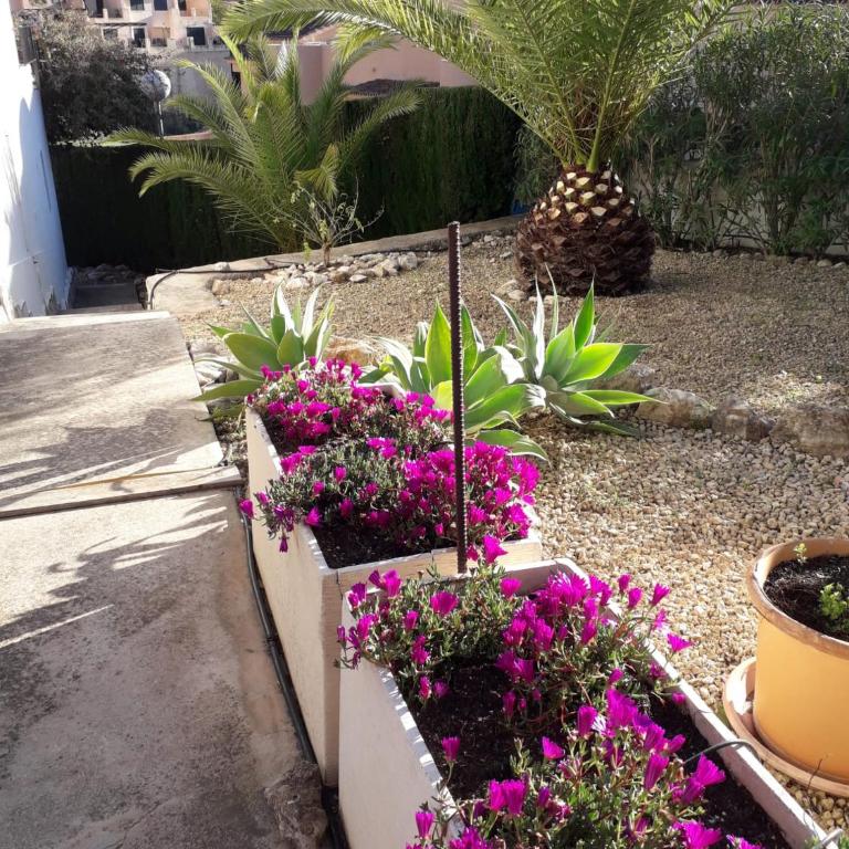 Casita La Joya - Casa de 2 dormitorios - 25