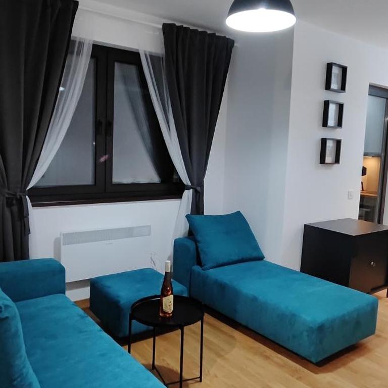 Plavi Bor - Apartman s 1 Spavaćom Sobom i Terasom - 8