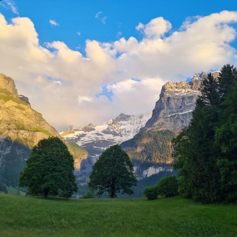 ABO - Boutique Apartment - Chalet Grindelwaldgletscher - Appartement 1 Chambre - 17