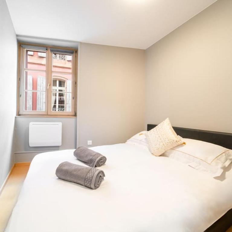 Le Roi Lion Colmar Centre parking gratuit - Appartement 2 Chambres - 2