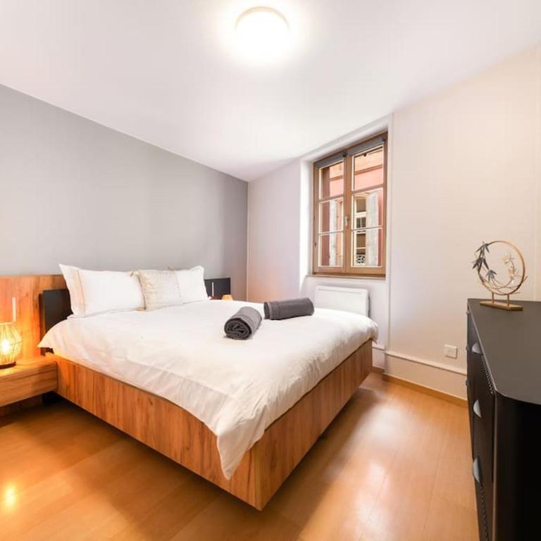 Le Roi Lion Colmar Centre parking gratuit - Appartement 2 Chambres - 4
