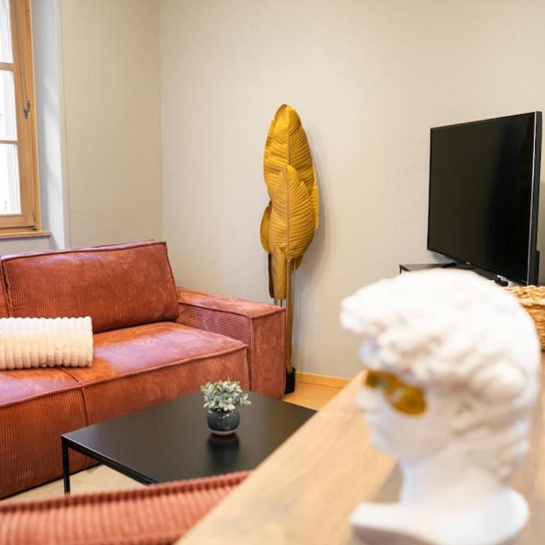 Le Roi Lion Colmar Centre parking gratuit - Appartement 2 Chambres - 8