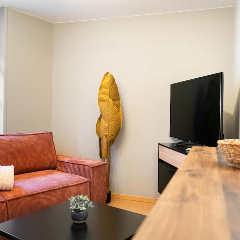 Le Roi Lion Colmar Centre parking gratuit - Appartement 2 Chambres - 13