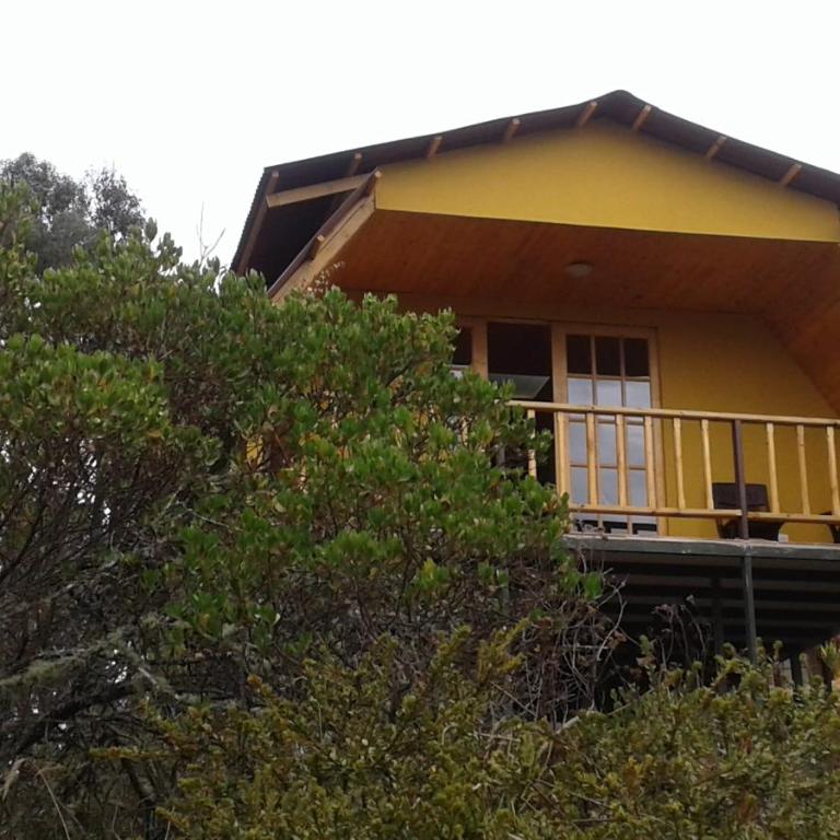 Cabaña Los Llanitos Hospedaje Campestre - Casa con 1 dormitorio - 2