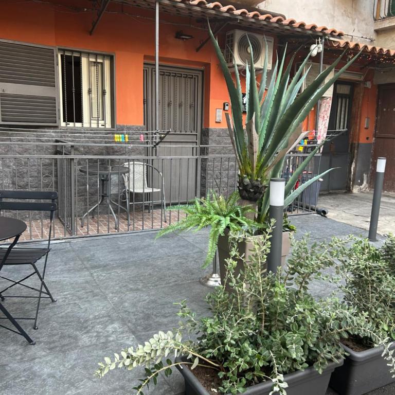 Fanale House - One-Bedroom Apartment - 94