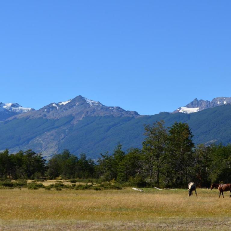 Casa Bahía Patagonia - Vacation Home - 4