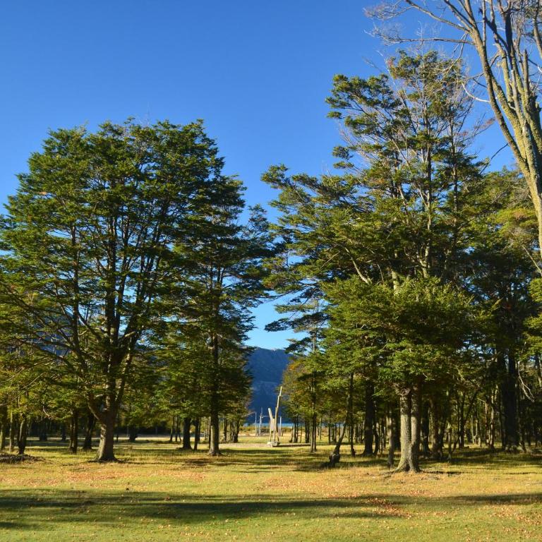 Casa Bahía Patagonia - Vacation Home - 19