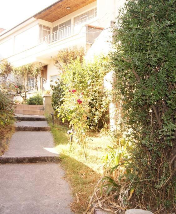 Estancia corta - Large Double Room - 7