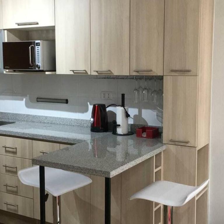 Concepción pleno centro - Apartamento de 1 dormitorio - 4