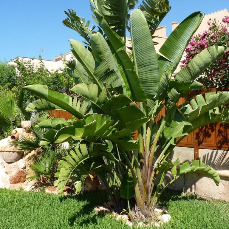 Casa Ben Comfortable holiday residence - Casa de vacaciones de 2 dormitorios - 6