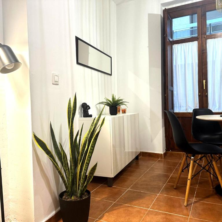 Guillem Silence - One-Bedroom Apartment - 9