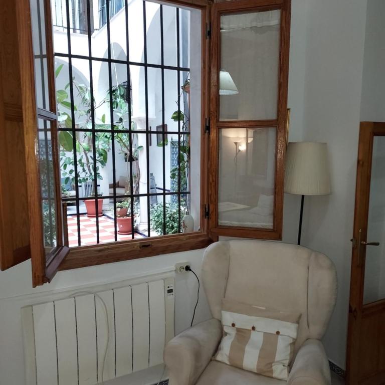 Patio Sevillano Flores - Apartamento de 1 dormitorio - 12