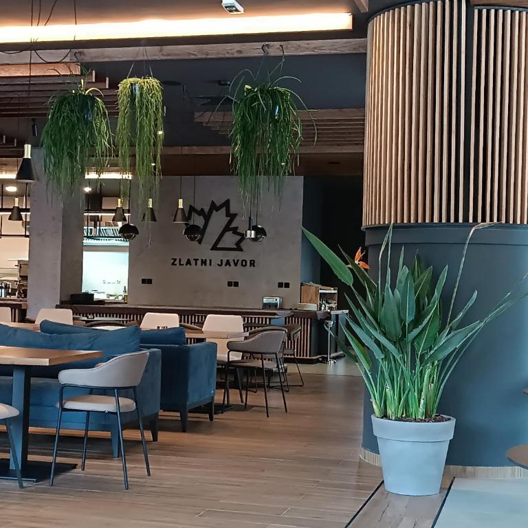 Zlatni javor Apartman 401 - One-Bedroom Apartment - 18