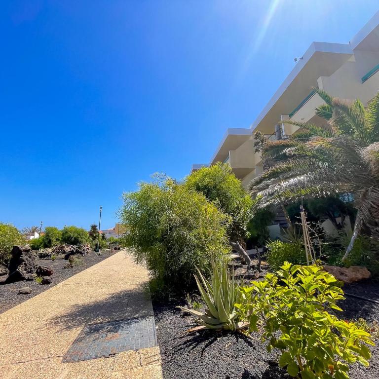 Casita Naranja - Bouganville - Apartamento de 1 dormitorio - 13