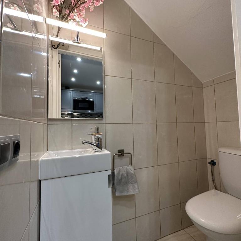 Casa Garza - One-Bedroom Apartment - 6