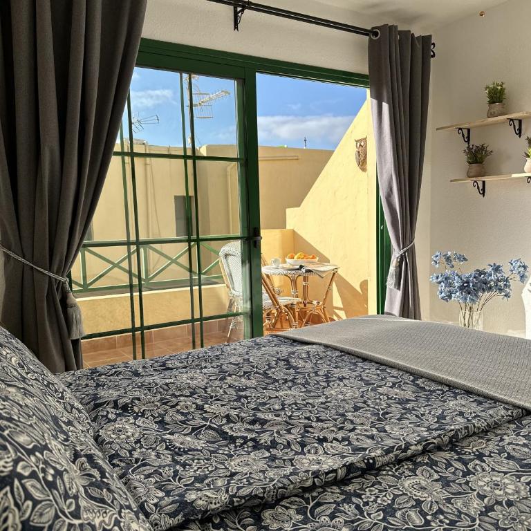 Casa Garza - One-Bedroom Apartment - 18