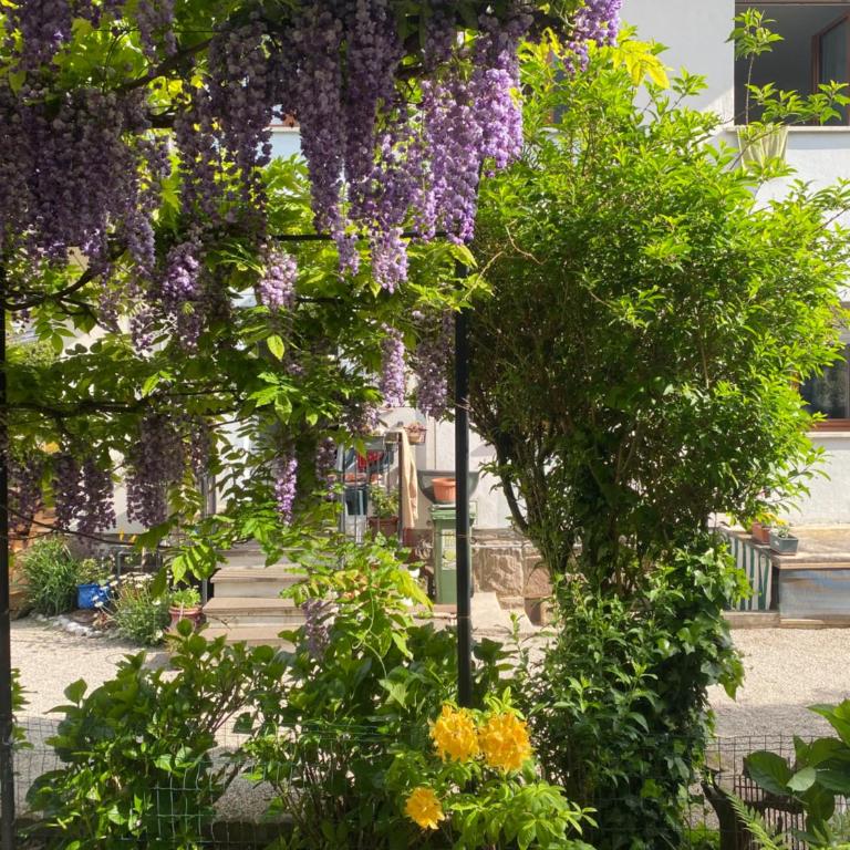Casa Martello - Appartamento con Vista Giardino - 21
