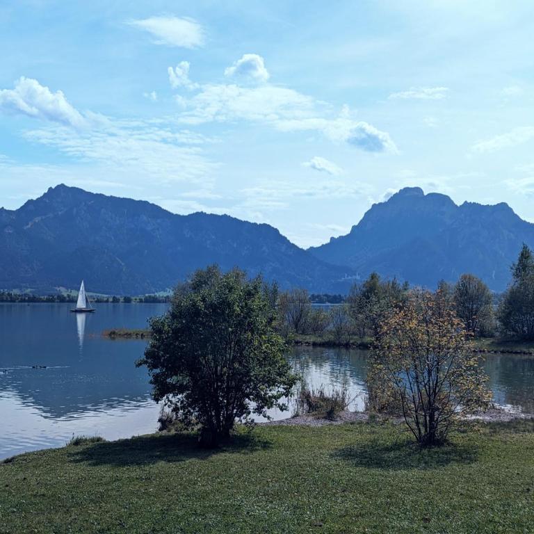 Bergluftsuite am Breitenberg - Apartamento de 2 dormitorios - 35