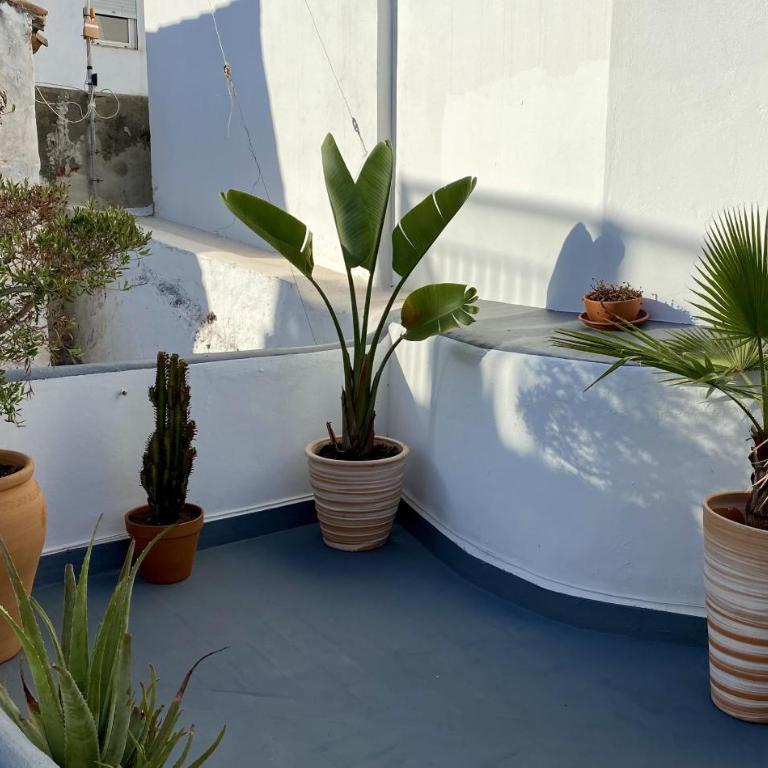 132 La Casa del Pintor - Apartamento de 1 dormitorio - 16