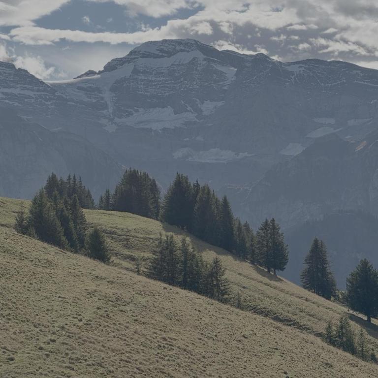 Hotel Le Chaudron Ski In Ski Out - Appartement 5 Chambres - 21