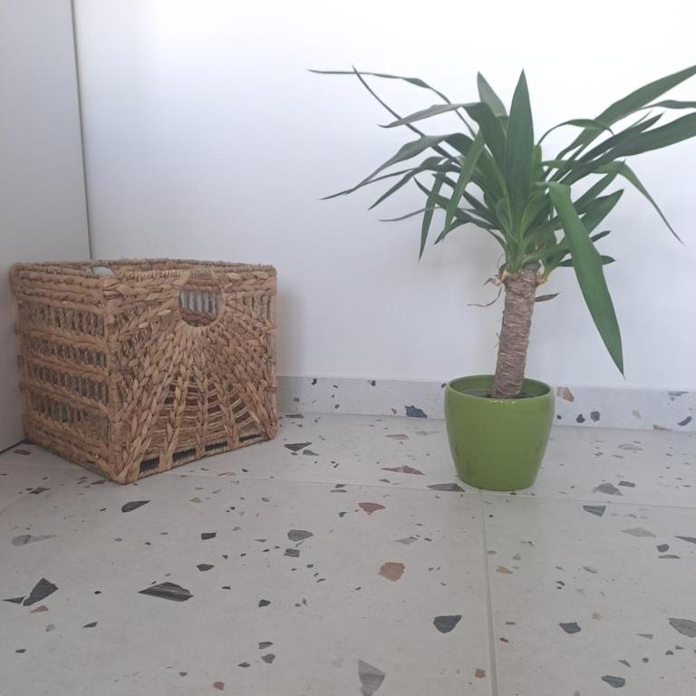 Apartment Ivon - Apartman sa 1 Spavaćom Sobom - 5