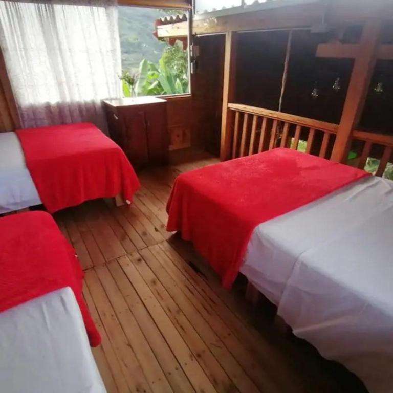 Cabañas Lucerito Colibrí - One-Bedroom Apartment - 10