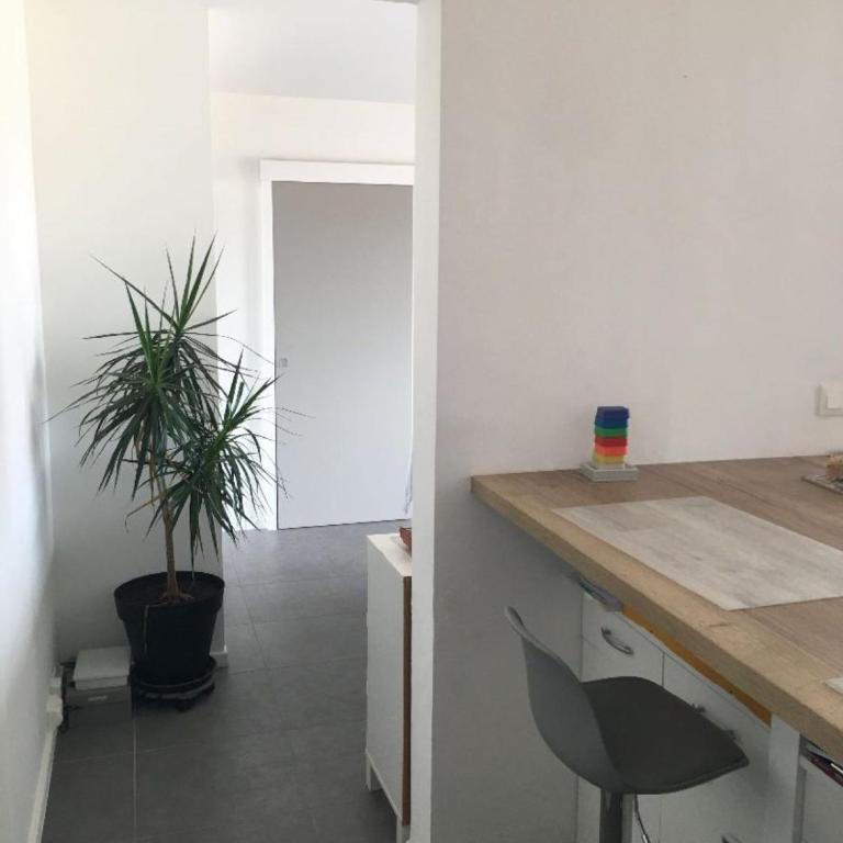Anglet sables d'or - vue océan - Appartement 1 Chambre - 5