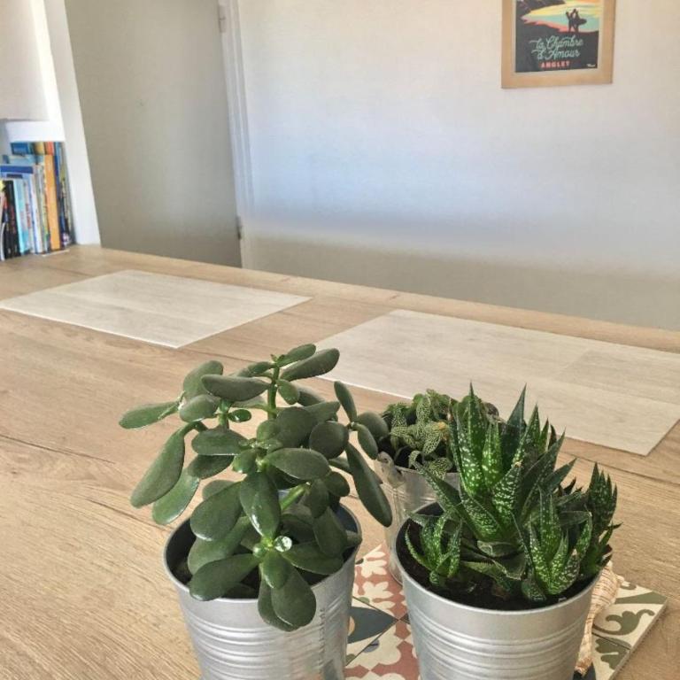 Anglet sables d'or - vue océan - Appartement 1 Chambre - 19