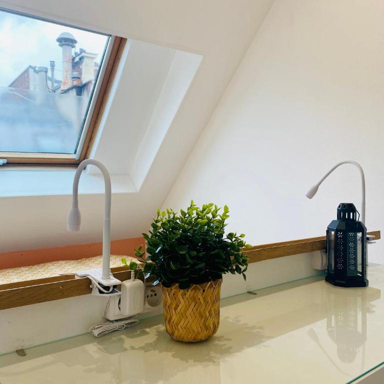 Cocon des Champs-Élysées - One-Bedroom Apartment - 12