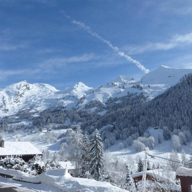 Bel appartement 3 ch, calme, garage, Wifi - FR-1-437-18 - Apartamento (8 adultos) - 15