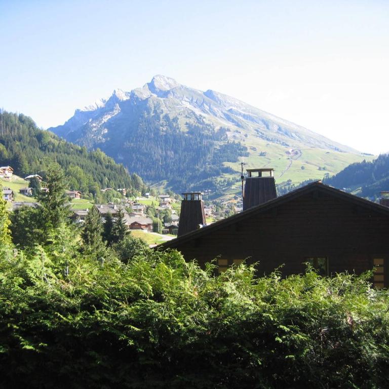 Duplex 2 chambres avec cheminée, garage et terrasse - La Clusaz, proche des pistes, WIFI inclus - FR-1-437-12 - Apartment (6 Adults) - 5